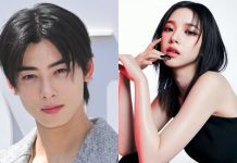 K-pop Visualleri Fazla Mı Standartlaşıyor?