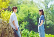 Dizi Tanıtımı: Last Summer