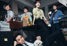 Dizi Tanıtımı: Pro Bono