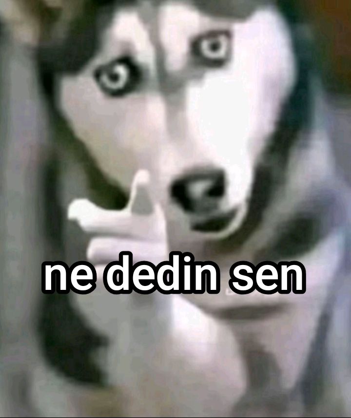 Yorum görseli