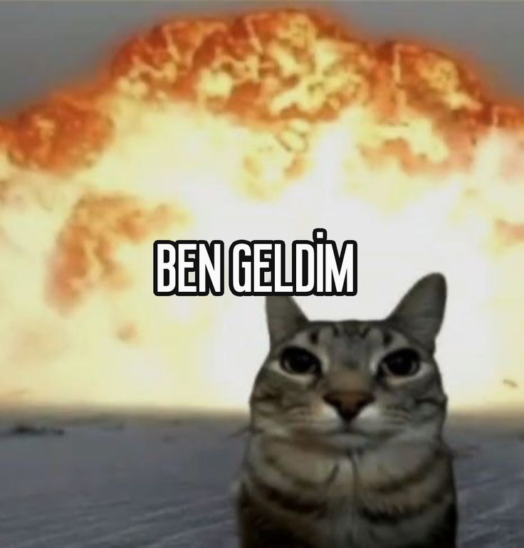 Yorum görseli