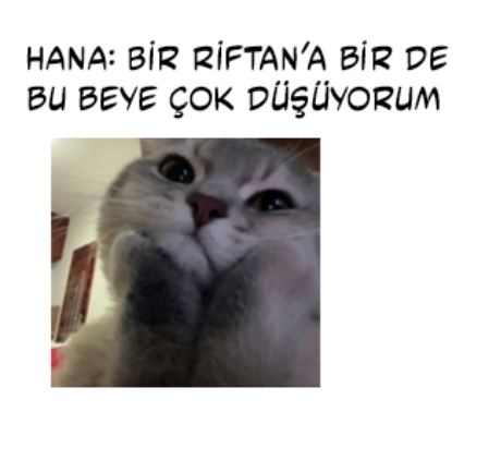 Yorum görseli