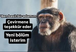 Yorum görseli