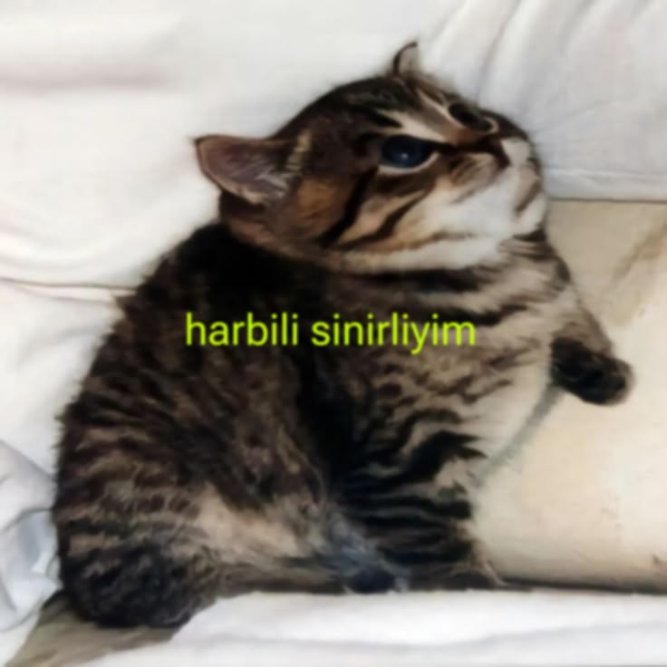 Yorum görseli