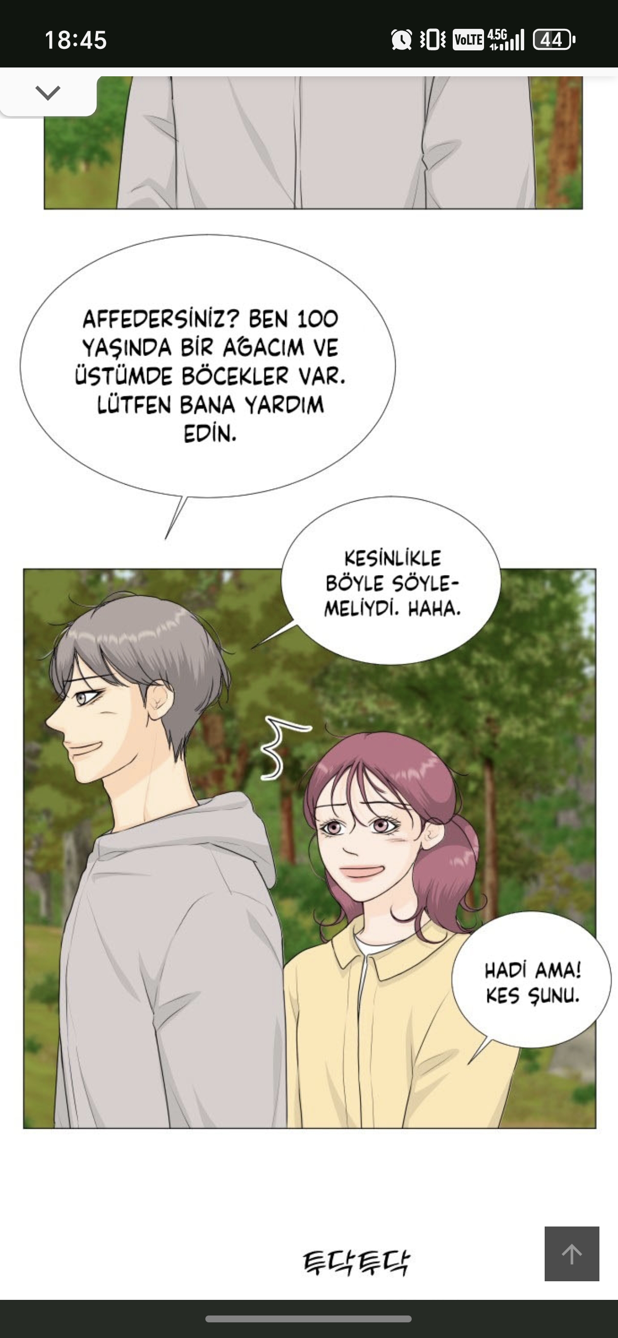 Yorum görseli