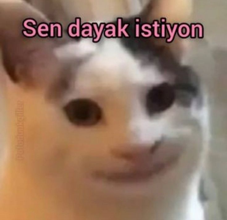 Yorum görseli