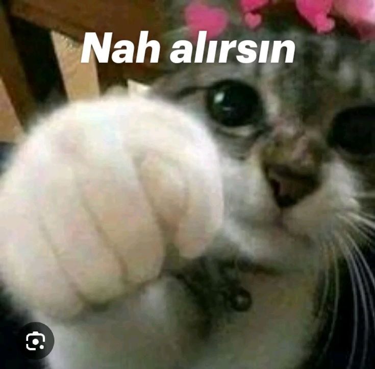 Yorum görseli