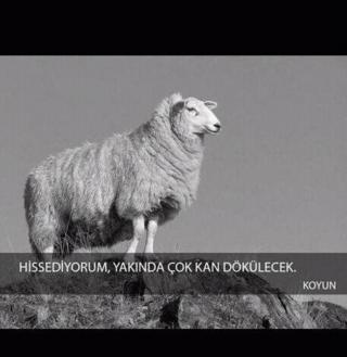 Yorum görseli
