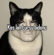 Yorum görseli