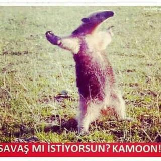 Yorum görseli