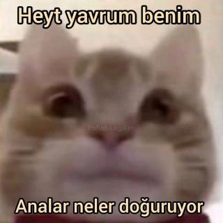 Yorum görseli