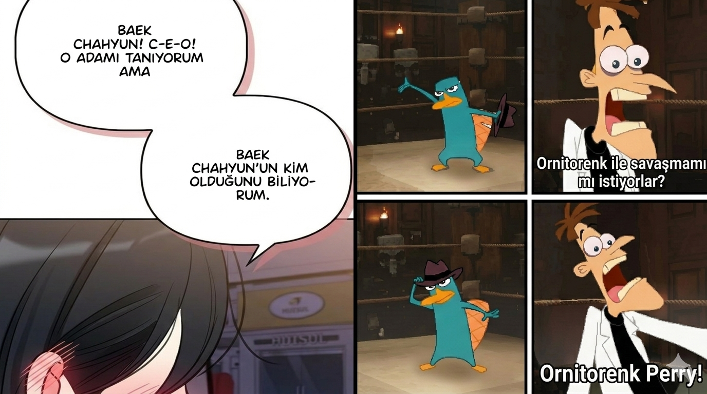 Yorum görseli