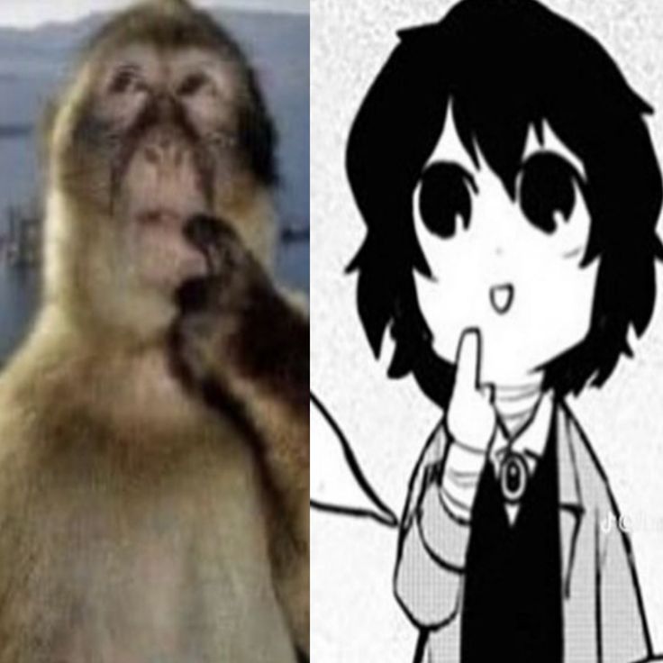 Yorum görseli