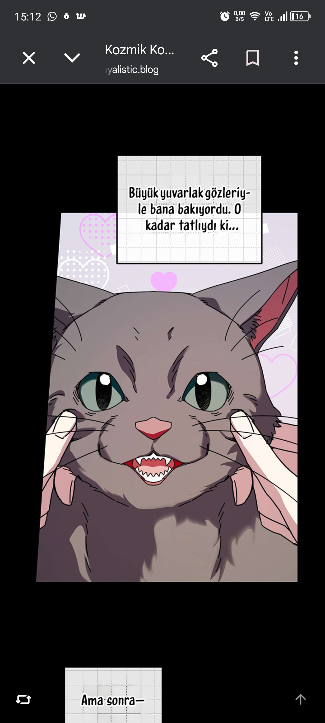 Yorum görseli