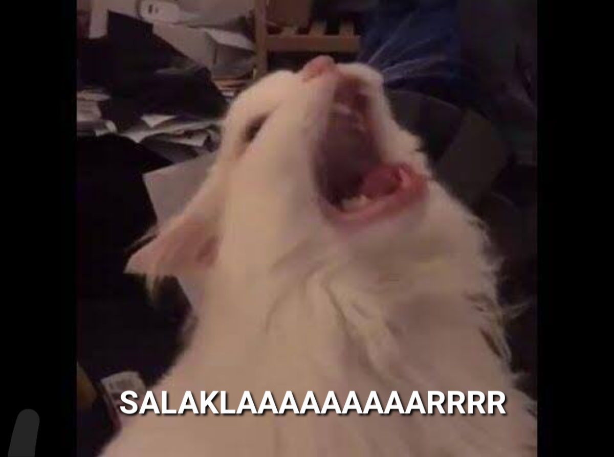 Yorum görseli